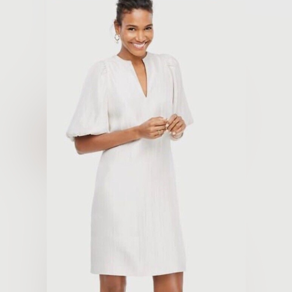 Ann Taylor champagne shift dress - Picture 2 of 6